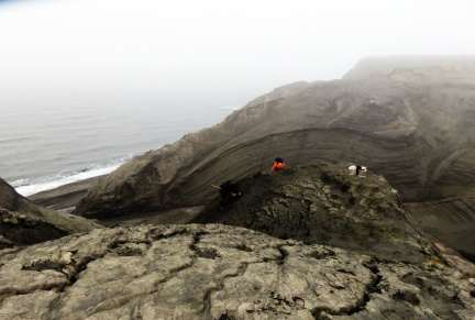 Остров Новая Сибирь. Мыс Каменный. Отбор образцов на медвежьей лежке