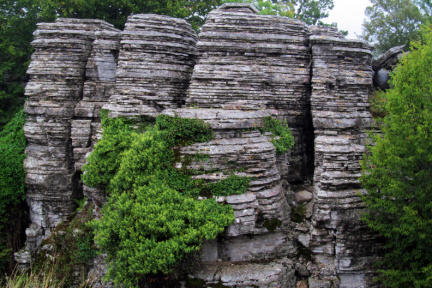 Каменные деревья. Греция