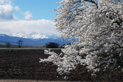 Там кавказские горы царят вдалеке…  