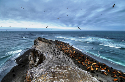 ОСТРОВ ТЮЛЕНИЙ