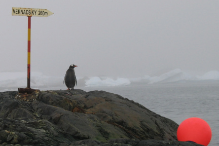 МЫ НЕДАЛЕКО