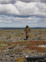 Геохимическое опробование. Бассейн реки Енисей.