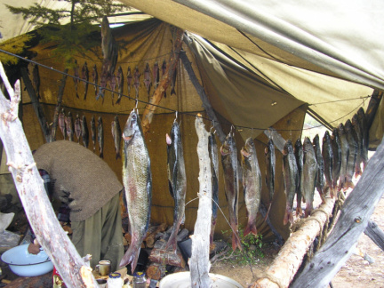 УЛОВ. Бассейн реки Хатанга