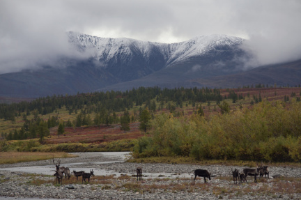 ПолярныйУрал