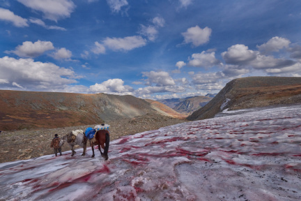 ДОРОГИ, КОТОРЫЕ МЫ ВЫБИРАЕМ. АЛТАЙ