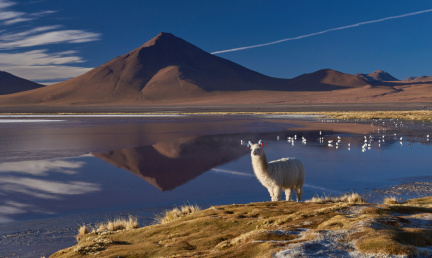 ПРЕКРАСНОЕ УТРО. ЧИЛИ