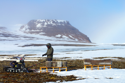Заготовка дров. Устье р. Лагерной, о. Беннетта 