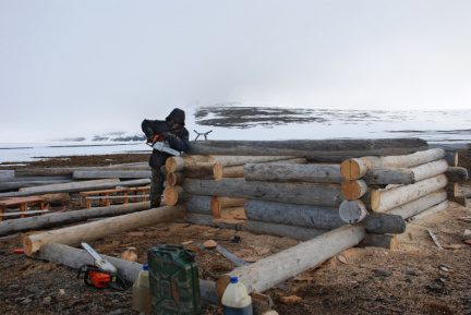 Постройка дома из плавника. Базовый лагерь экспедиции ГИН РАН. Остров Беннетта,